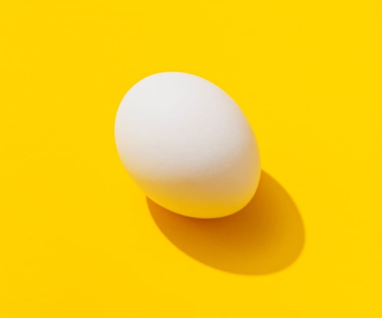 picture of and Egg in a yellow background